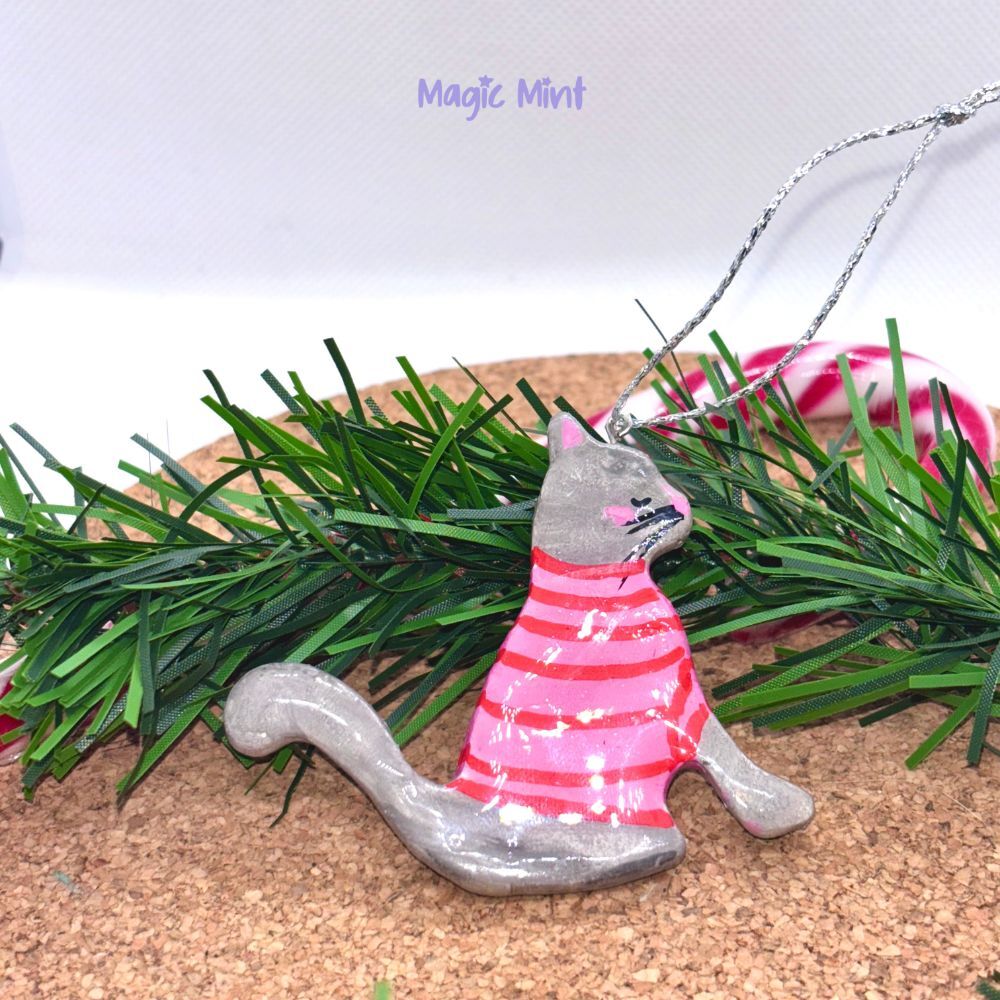 pisica gri cu tricou roz si rosu